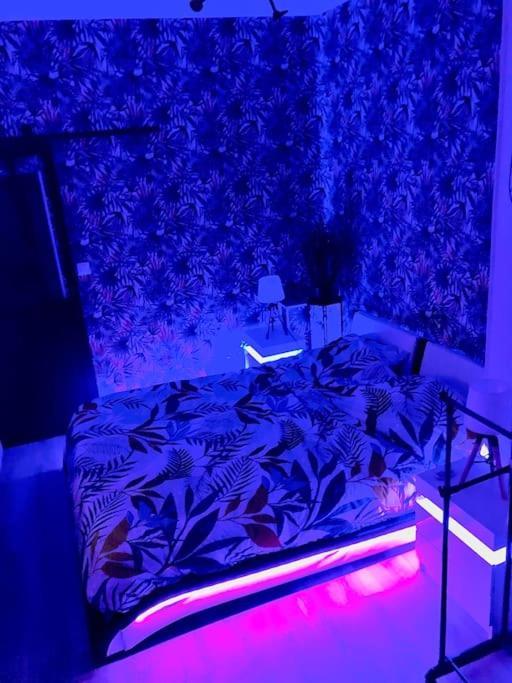 Le Led Room,Centre Ville Place De Parking Gratuite 桑斯 外观 照片
